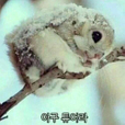 Da써보자화장품
