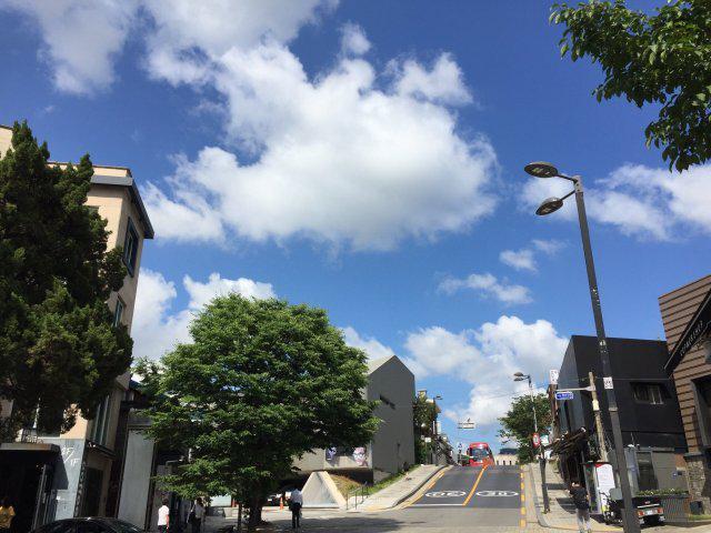 H~~ 프로필