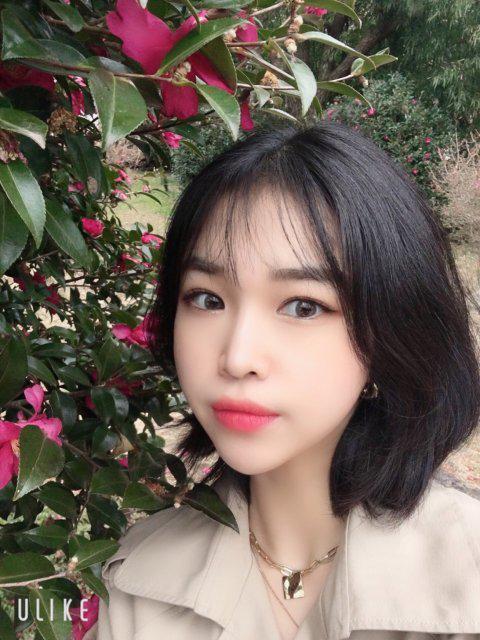 노미미 프로필