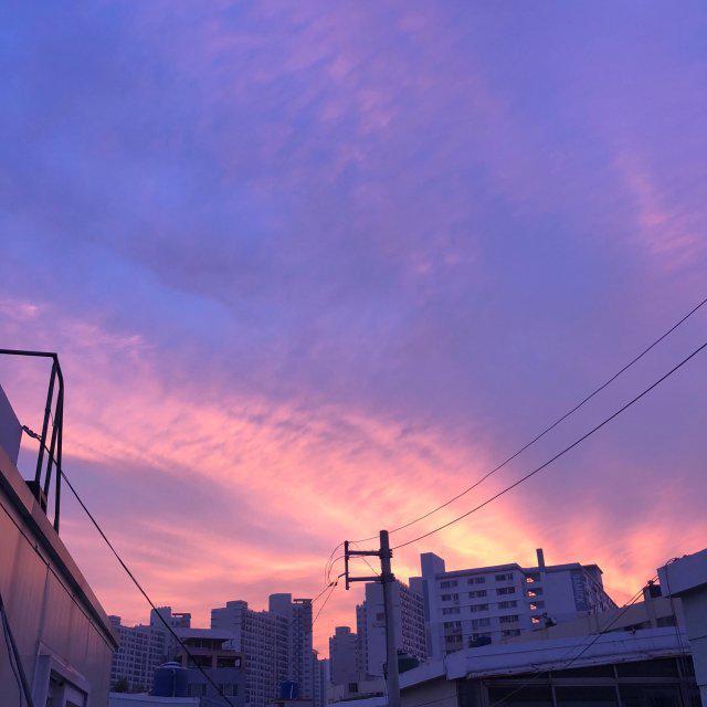 이졍a 프로필
