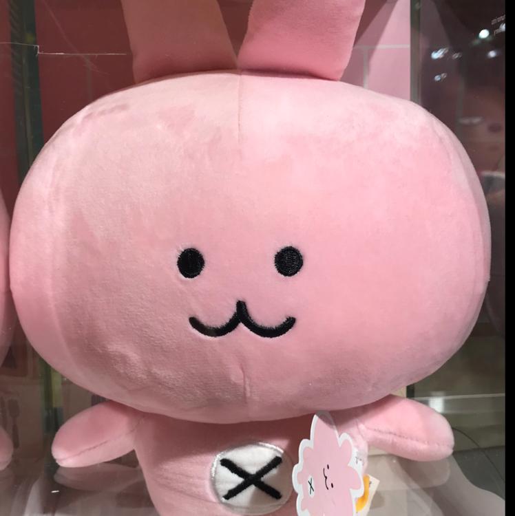 다람쥬 프로필