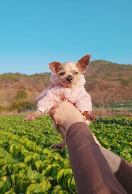 보보545 프로필