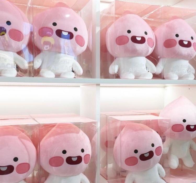 핑크코사지 프로필
