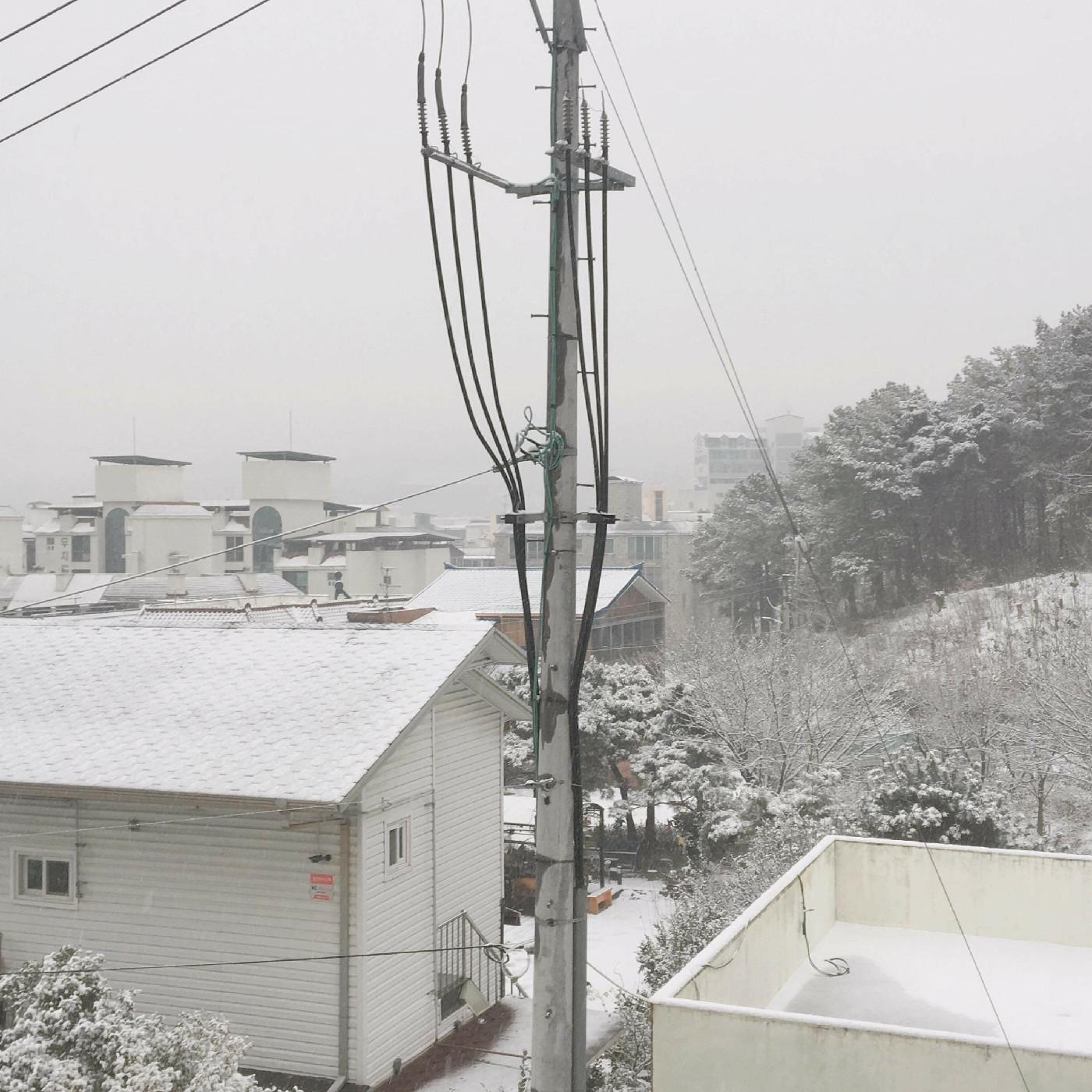 밥니? 프로필