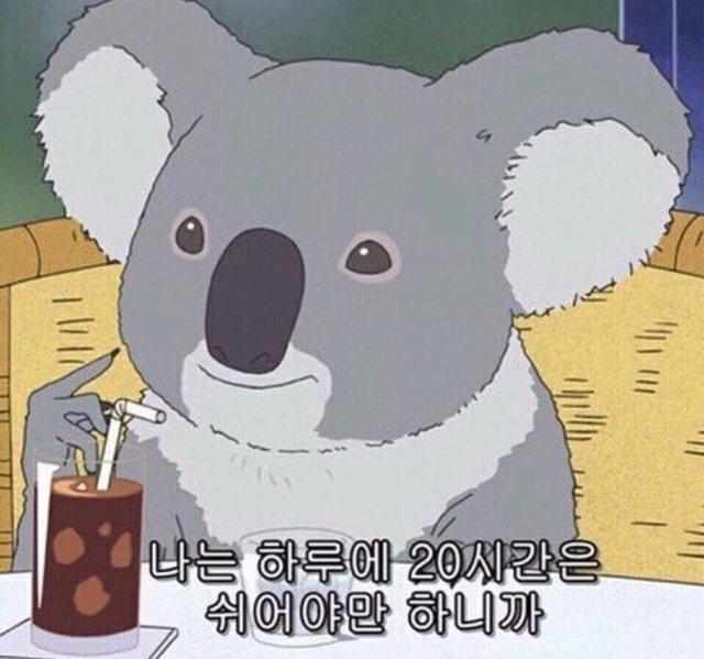 안녕지혜 프로필