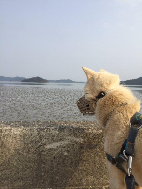 효잰 프로필
