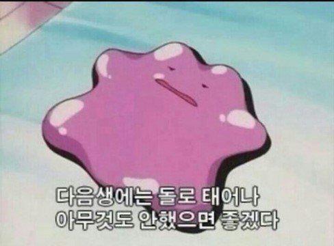 셍오이 프로필