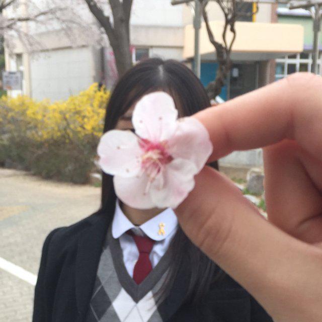 nnaapest 프로필