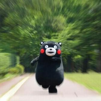 꽁치님 프로필