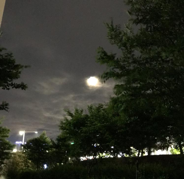 bom/ 프로필