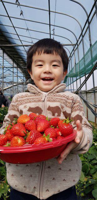 건형엄마 프로필