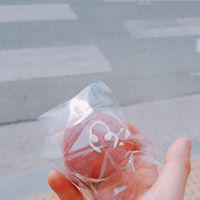 혜진로하 프로필