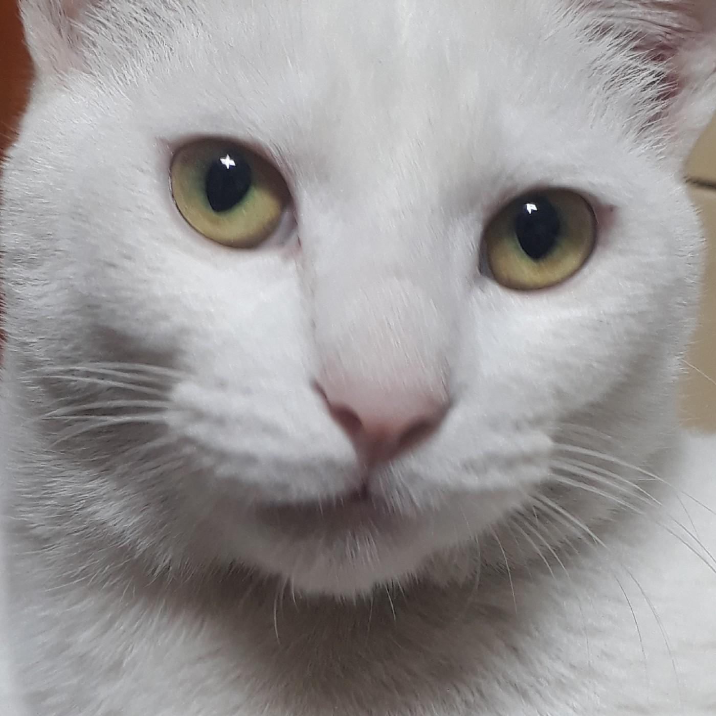 한달덩이 프로필