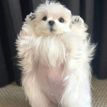 리뷰어 프로필