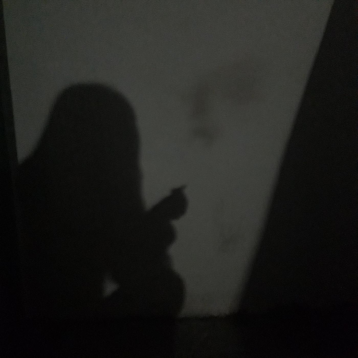 음채 프로필