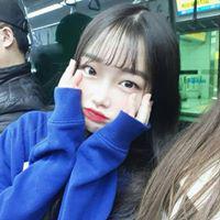 공이고니 프로필
