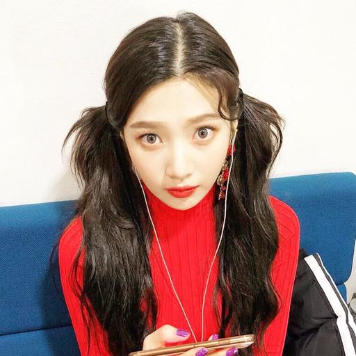 핑쿠곤쥬 프로필