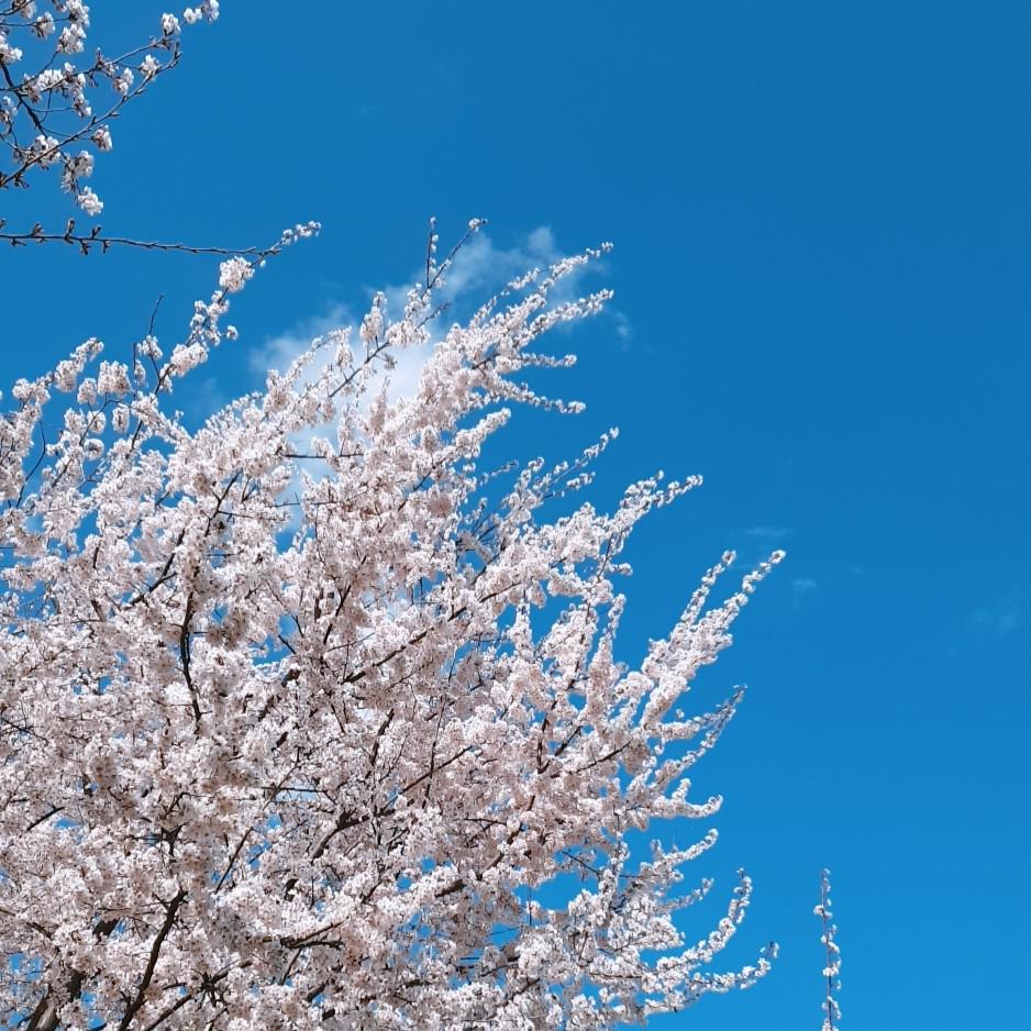 뚜뜽 프로필