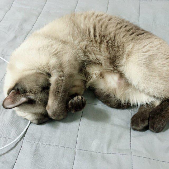 무무니111 프로필