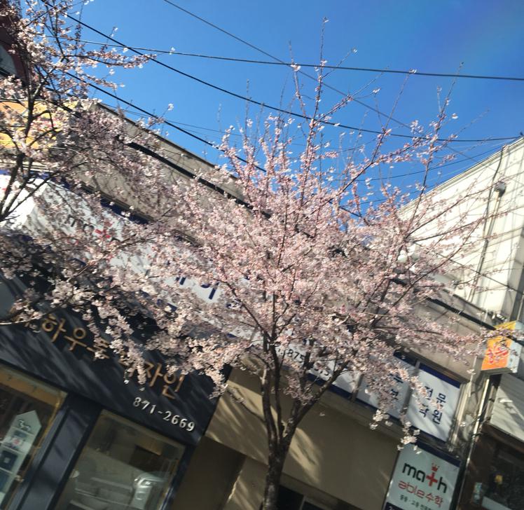 보_라 프로필