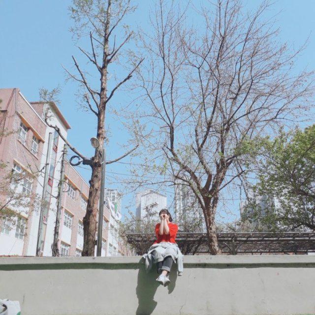 뽀뽀나여 프로필