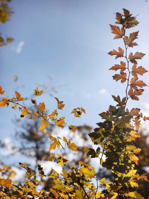 jjung0293 프로필
