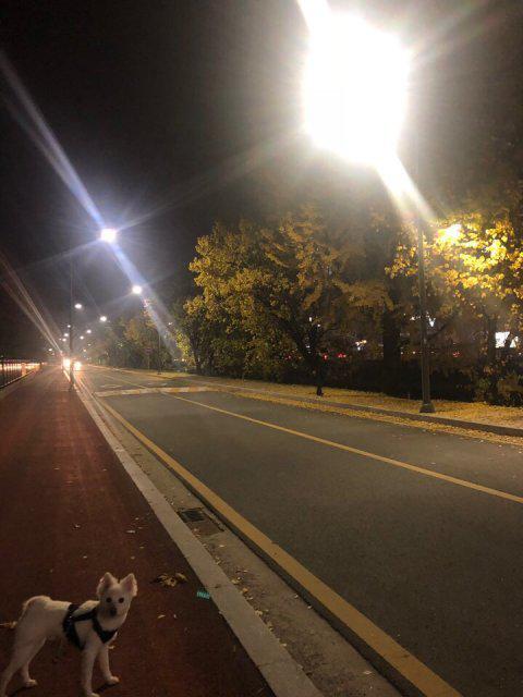 쑤레긩 프로필