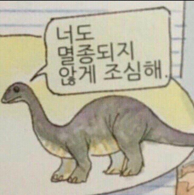히핑 프로필