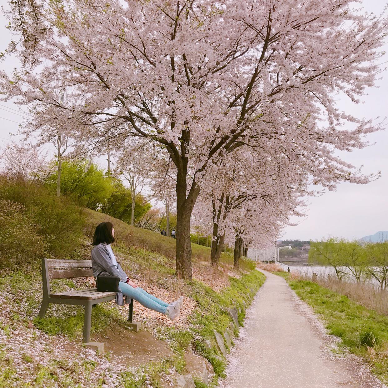 보노보노:) 프로필