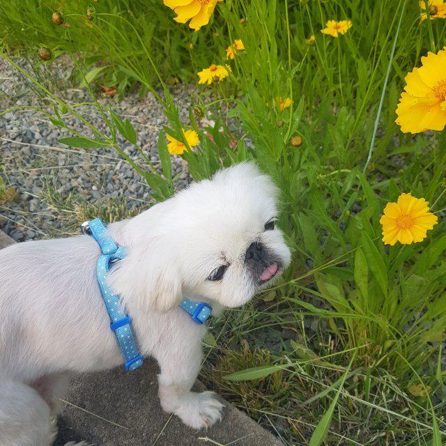 따꾸마미 프로필