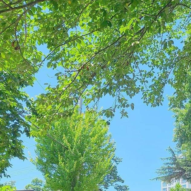 리뷰어 프로필