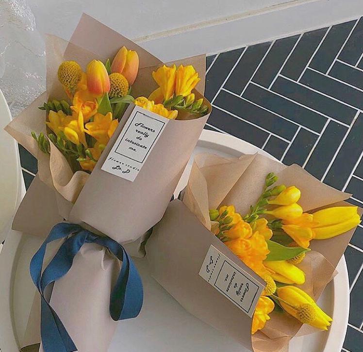 붕어빵8 프로필
