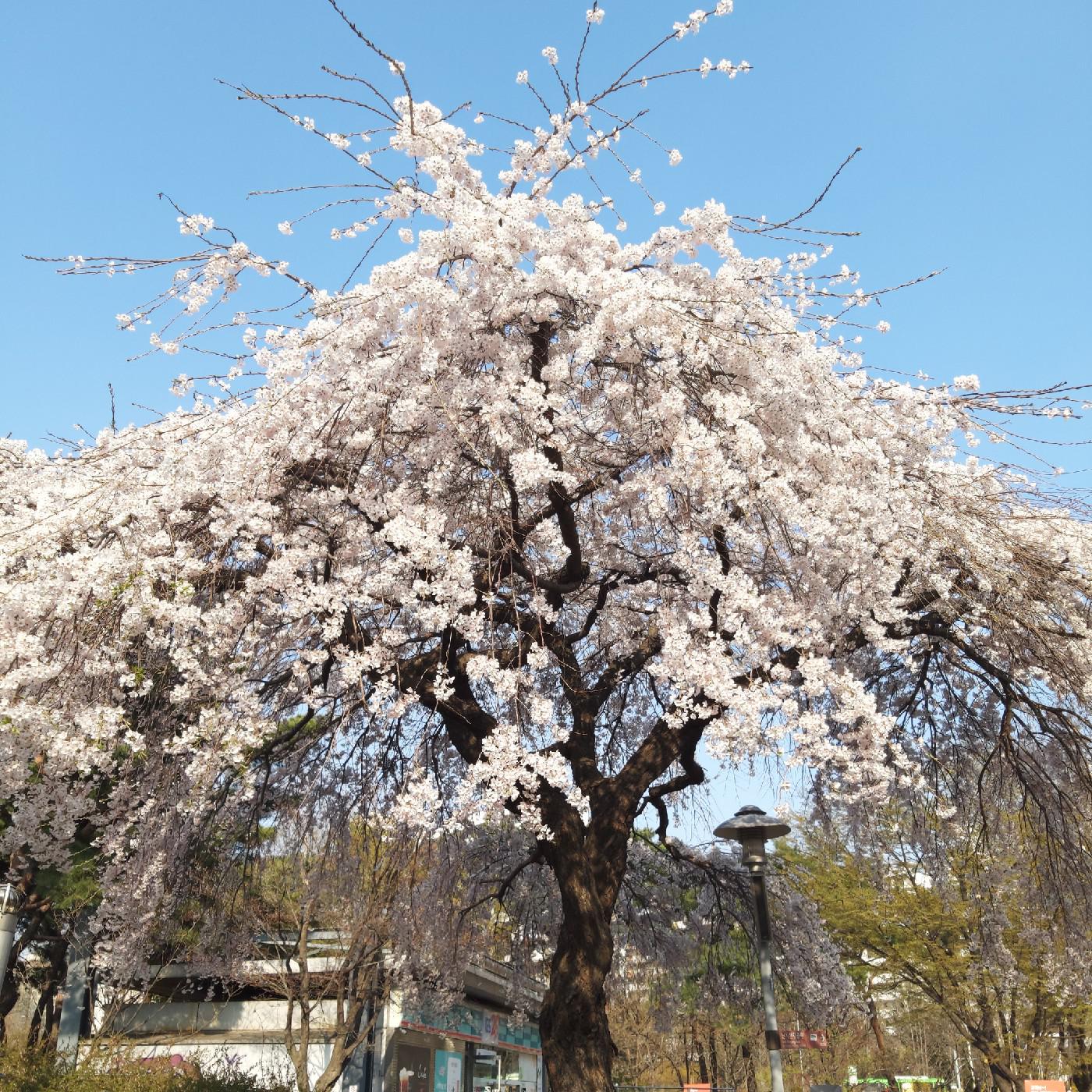 huanhee 프로필