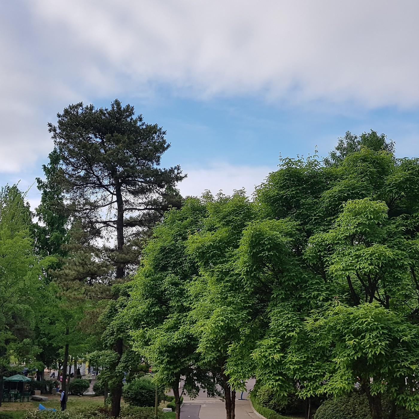 난다나니 프로필