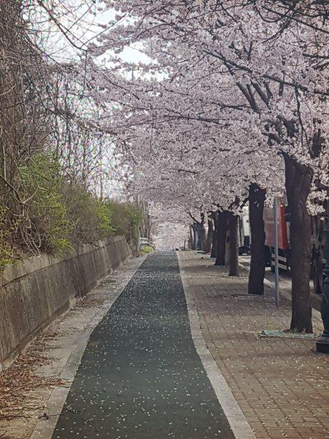 jhs5004 프로필