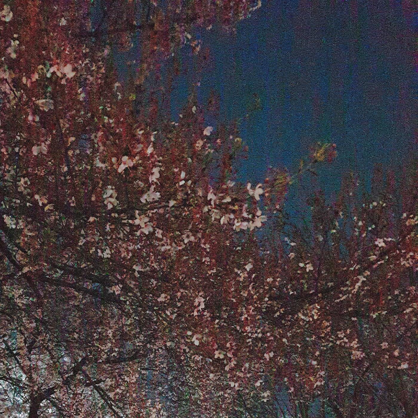 aoals 프로필