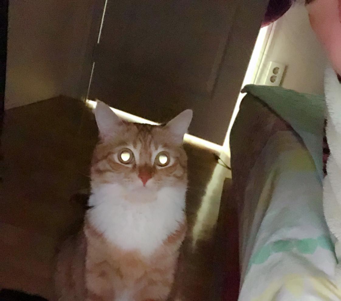 몽22 프로필