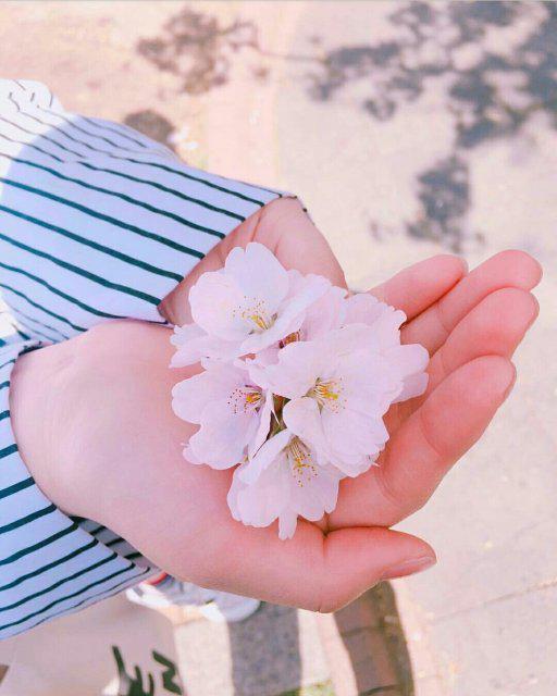 M.W 프로필