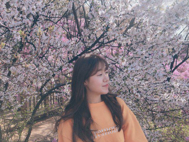 mirame 프로필
