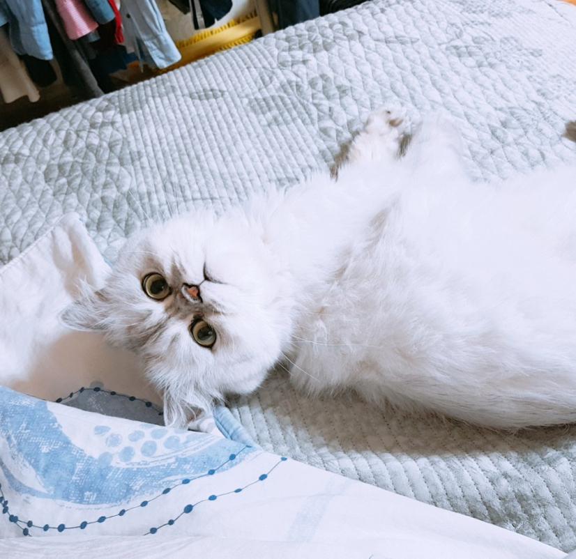 루루엄마 프로필