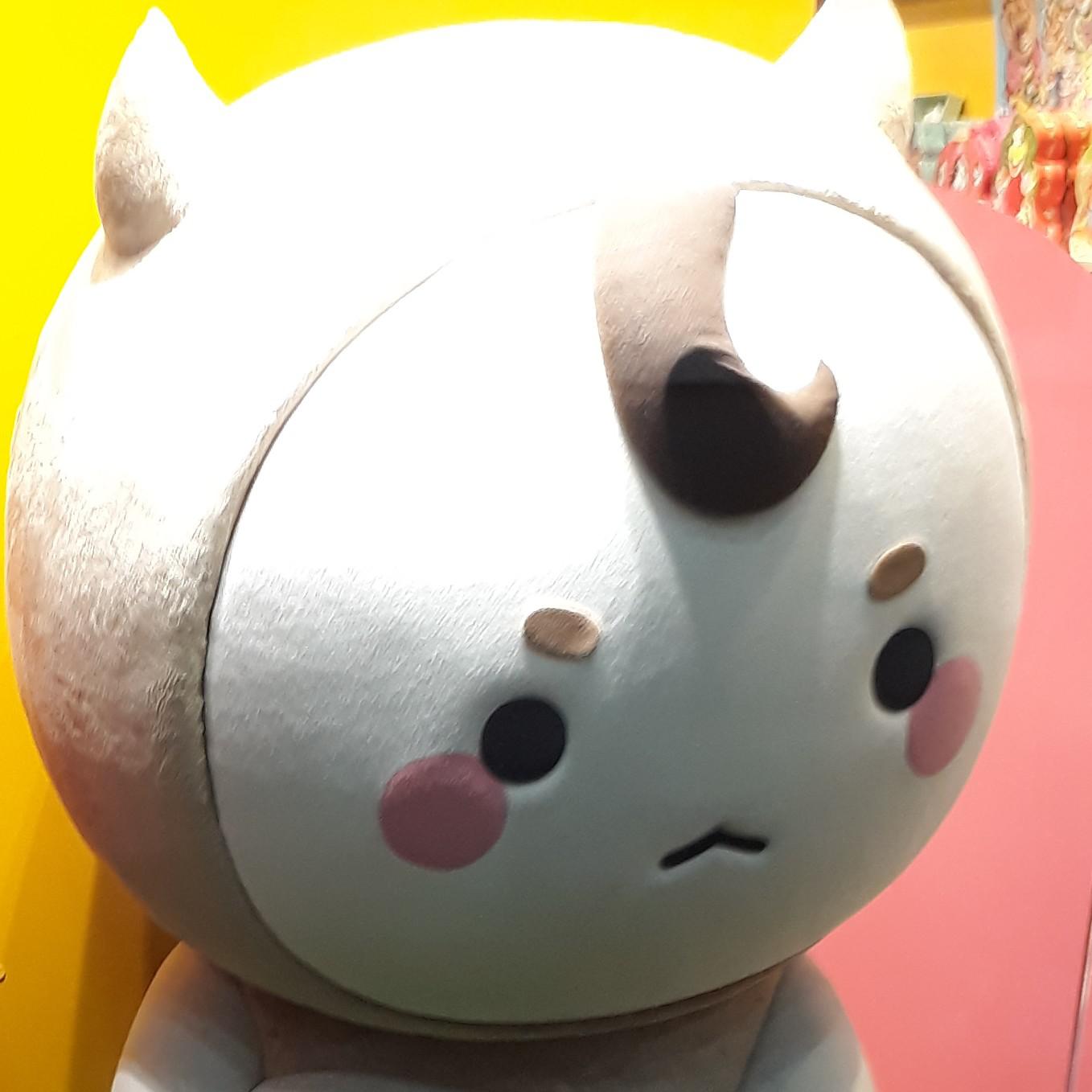 프란치스코 프로필