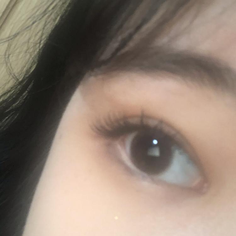 료오뇽 프로필