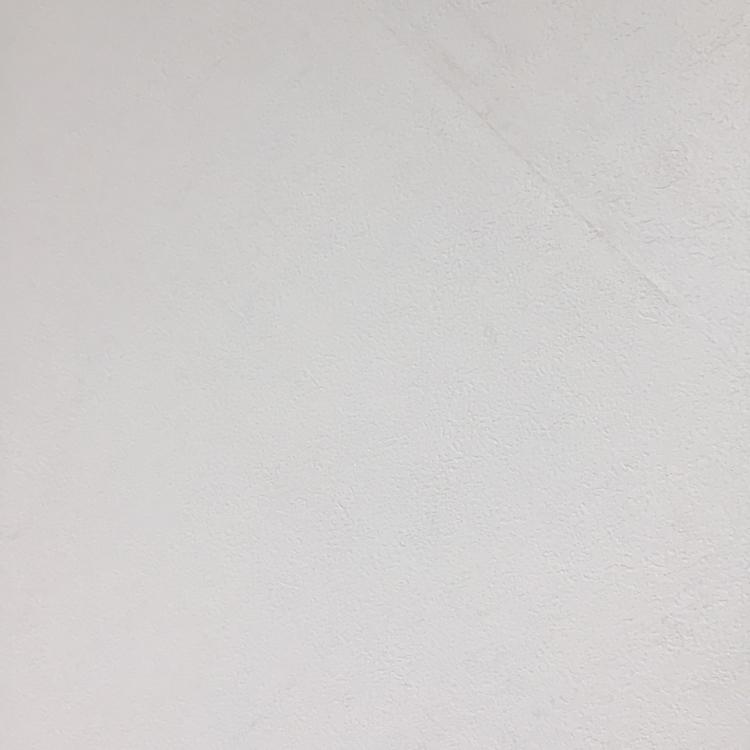 IamCindy 프로필