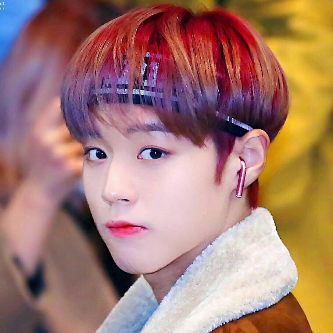 워너블슈민 프로필