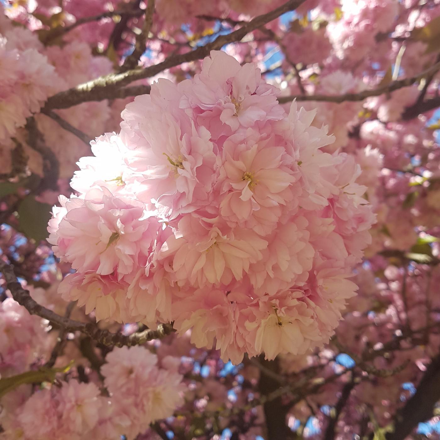 jen098 프로필