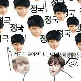 벨벳강아지 프로필