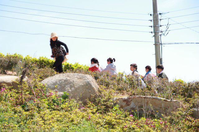 꽃잎샘 프로필