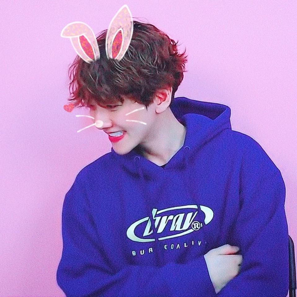 졍졍졍엉 프로필