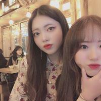 펄페리버릿 프로필
