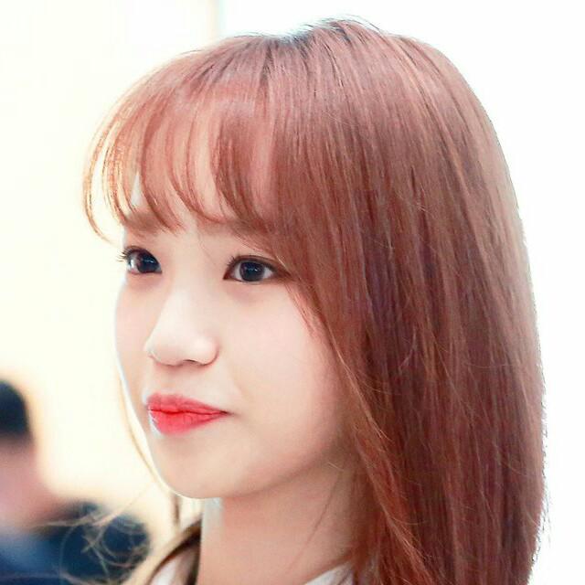 불여우친척곰 프로필